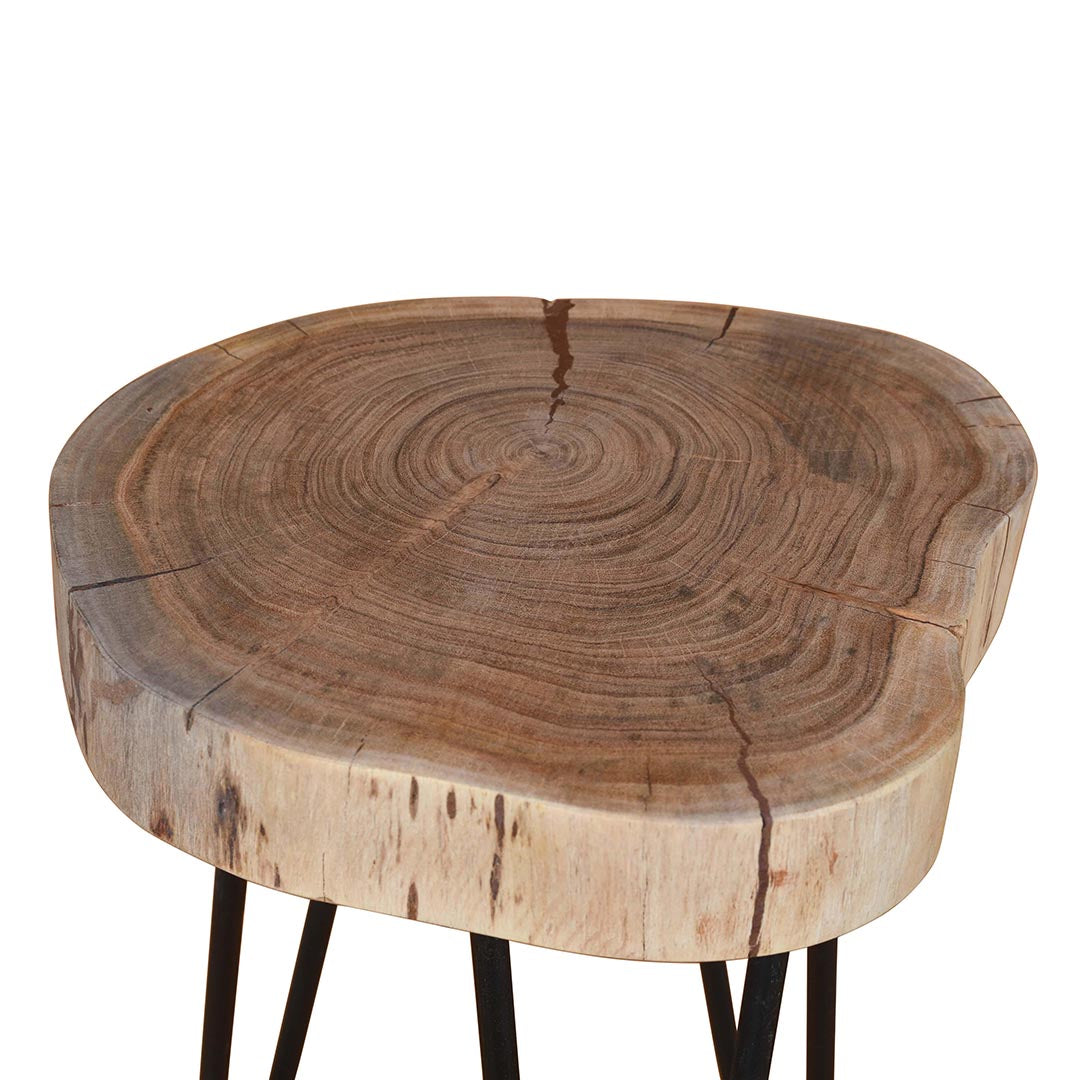Single Log Side Table