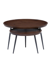 Pencil Solid Wood Nesting Coffee Table Set